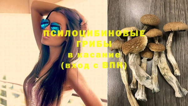 MDMA Щигры