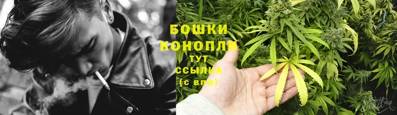 Шишки марихуана Ganja  Черкесск 